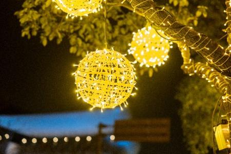 香港最新最准最全资料