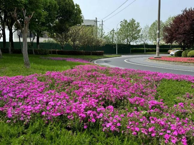 香港最新最准最全资料