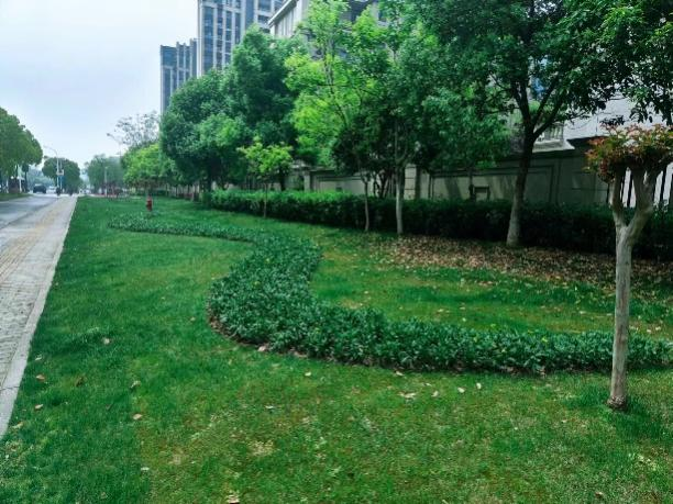 香港最新最准最全资料