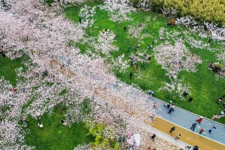 香港最新最准最全资料