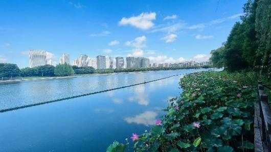 香港最新最准最全资料