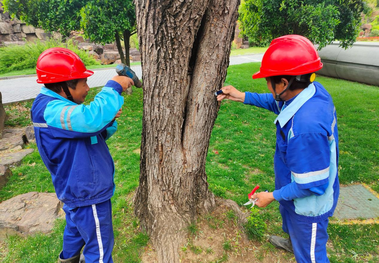 香港最新最准最全资料