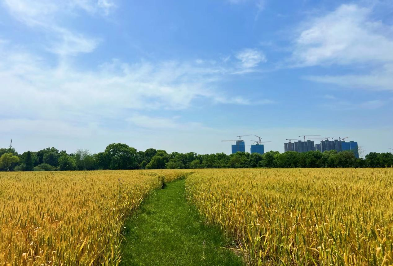 香港最新最准最全资料