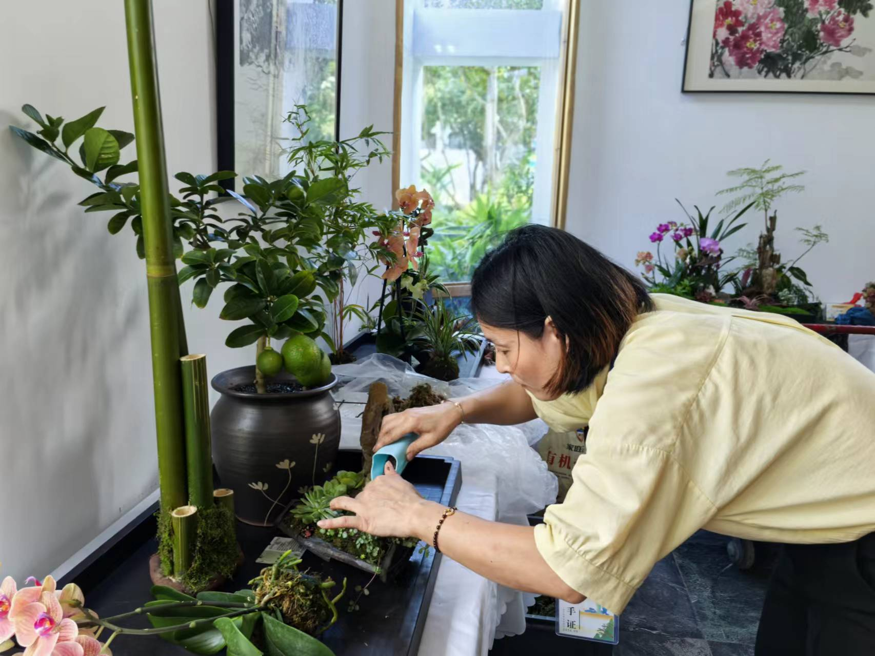 香港最新最准最全资料
