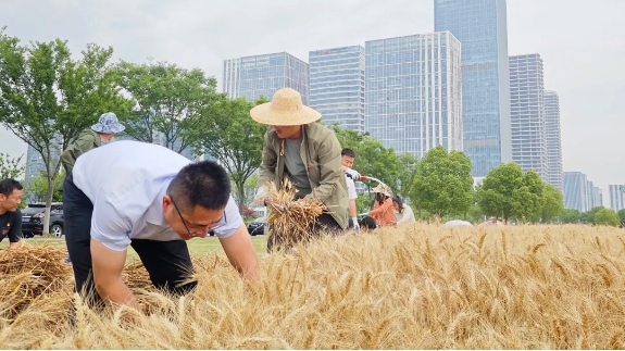 香港最新最准最全资料