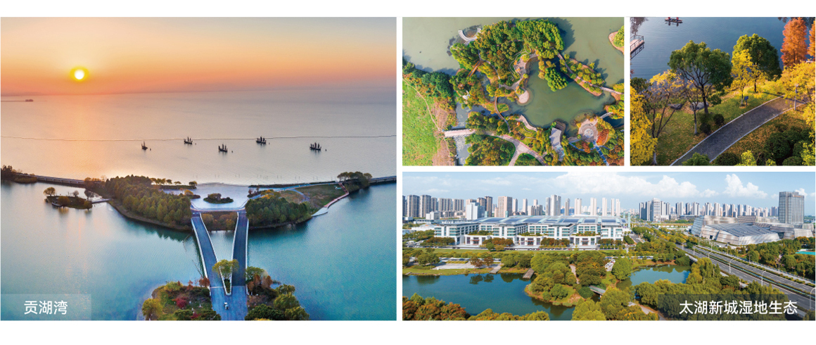 香港最新最准最全资料