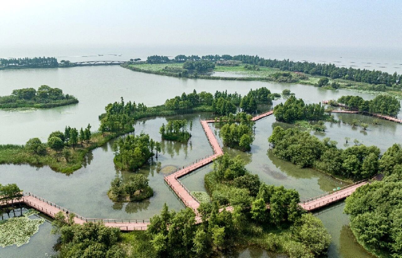 香港最新最准最全资料